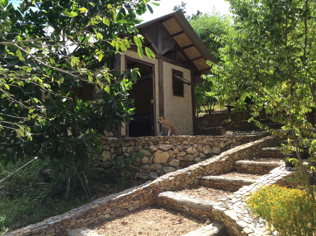 Busuanga Native Huts