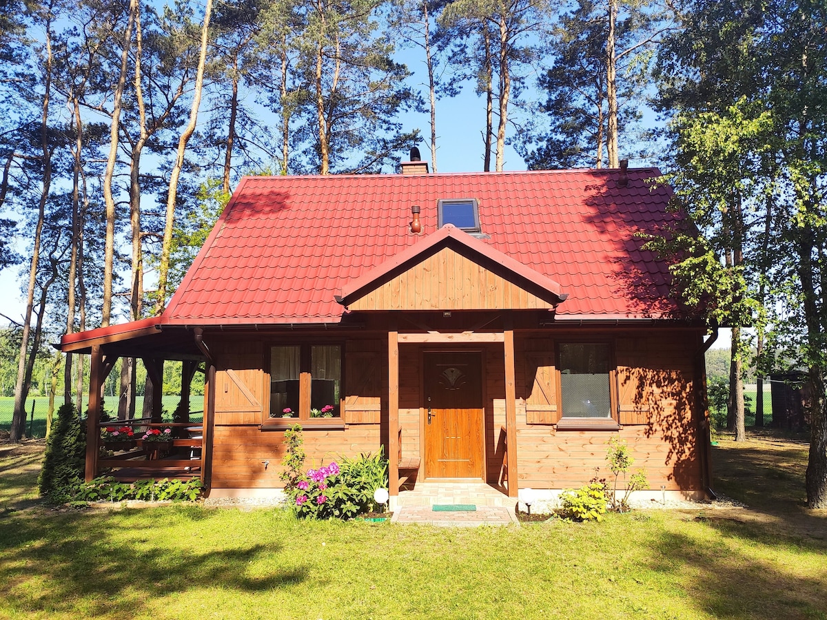 Sunny House ，位于Anielin ，靠近A1-A2 Øódzz North