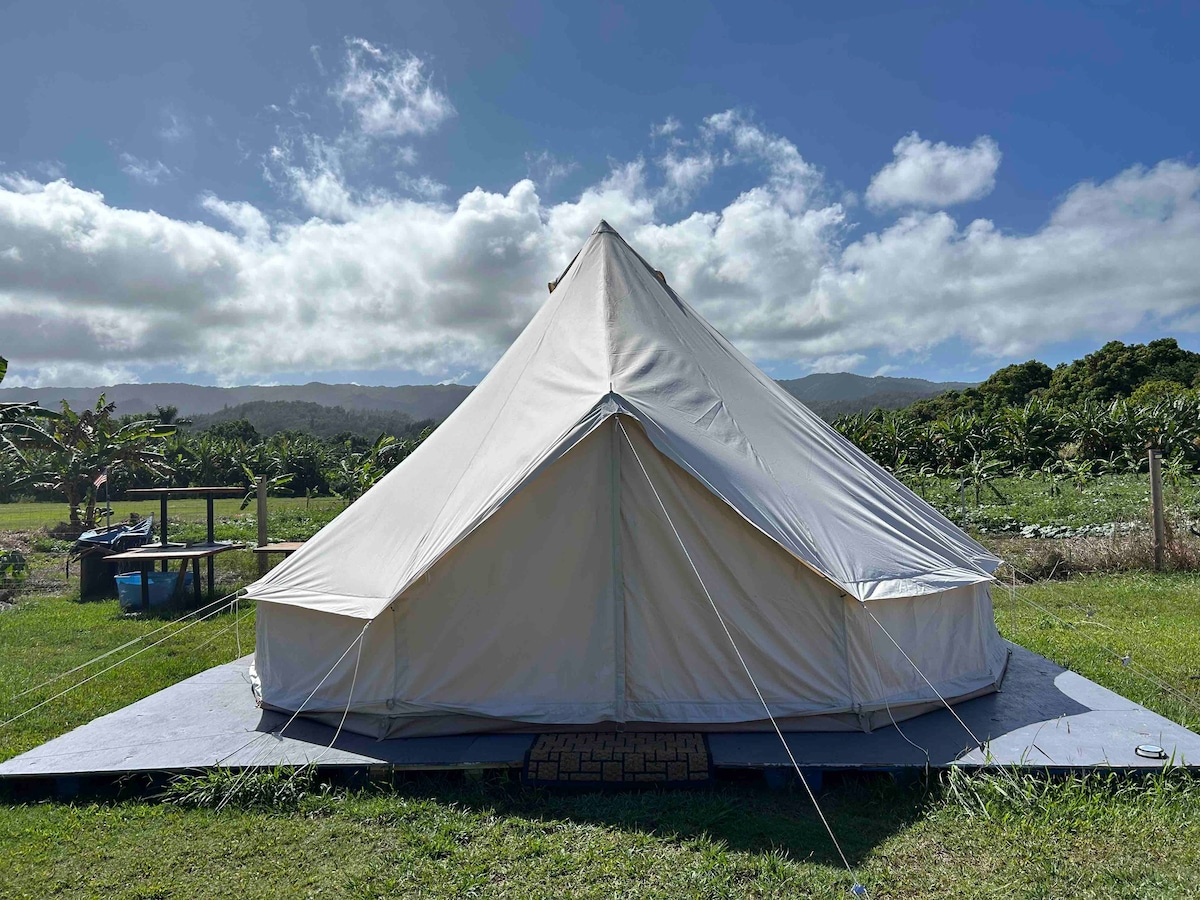 Hawaii Camping Close to Hukilau Beach, Laie #3