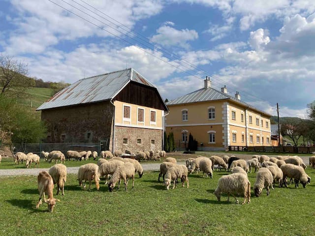 Banská Belá的民宿