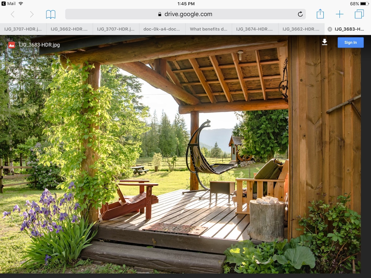 Airbnb Cabin North Shuswap Celista