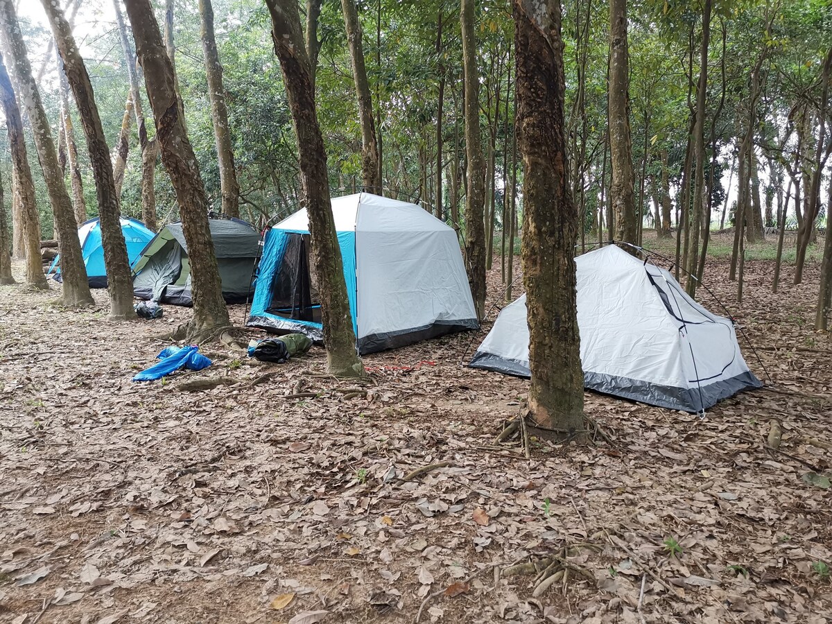 吉隆坡国际机场（ KLIA ）附近10英亩土地上的原始露营地