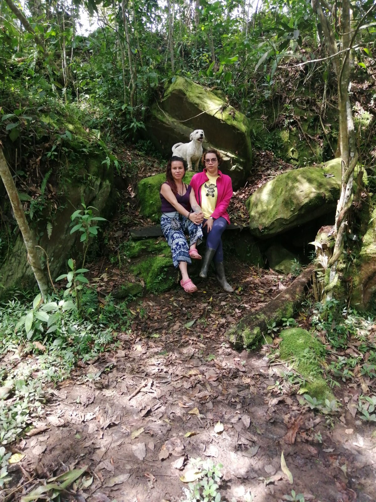 Habitación baño privado, paseos ecológicos, río.