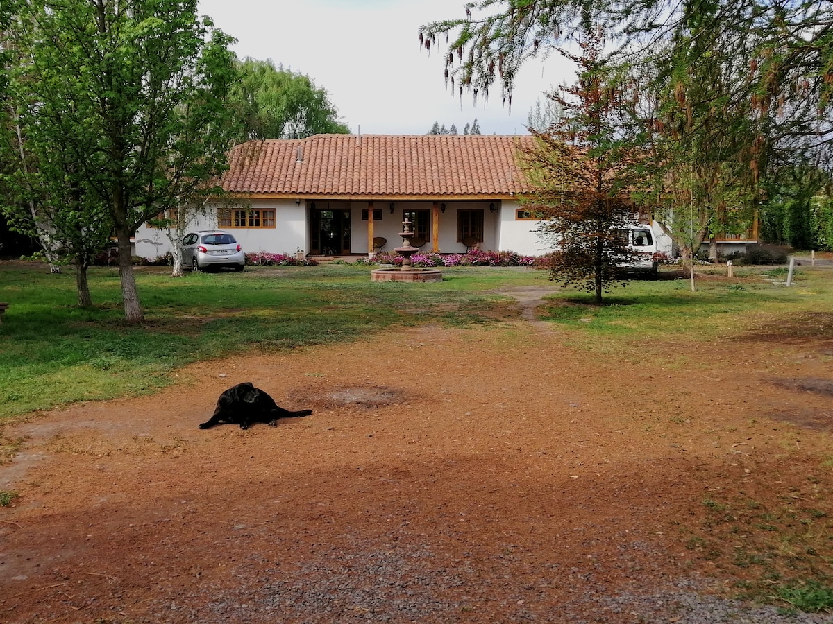 Casa de Campo entre Viñedos