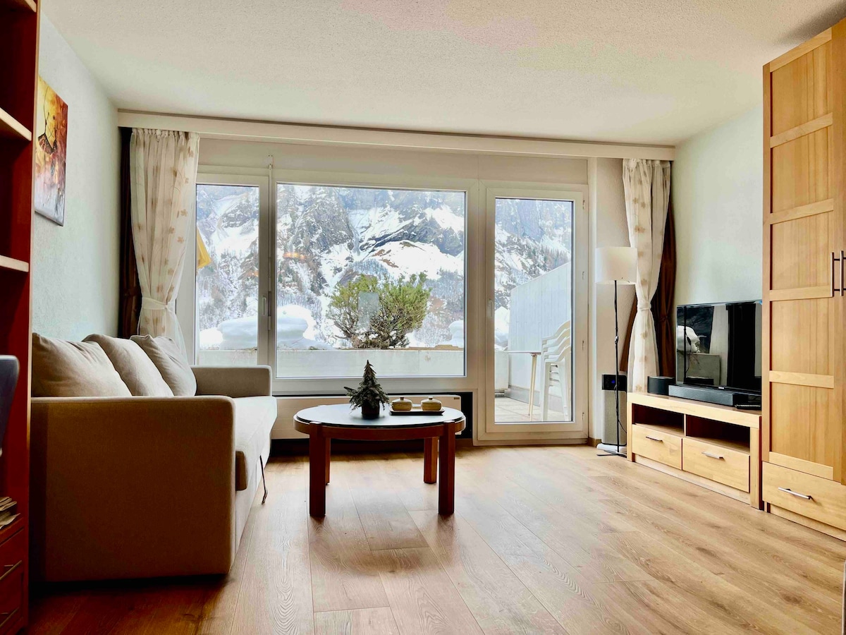 大型单间公寓，可欣赏美丽的阿尔卑斯山景观+免费停车位