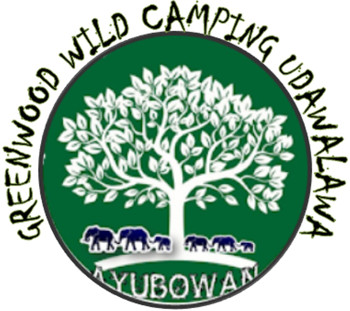 GREENWOOD WILD CAMPING