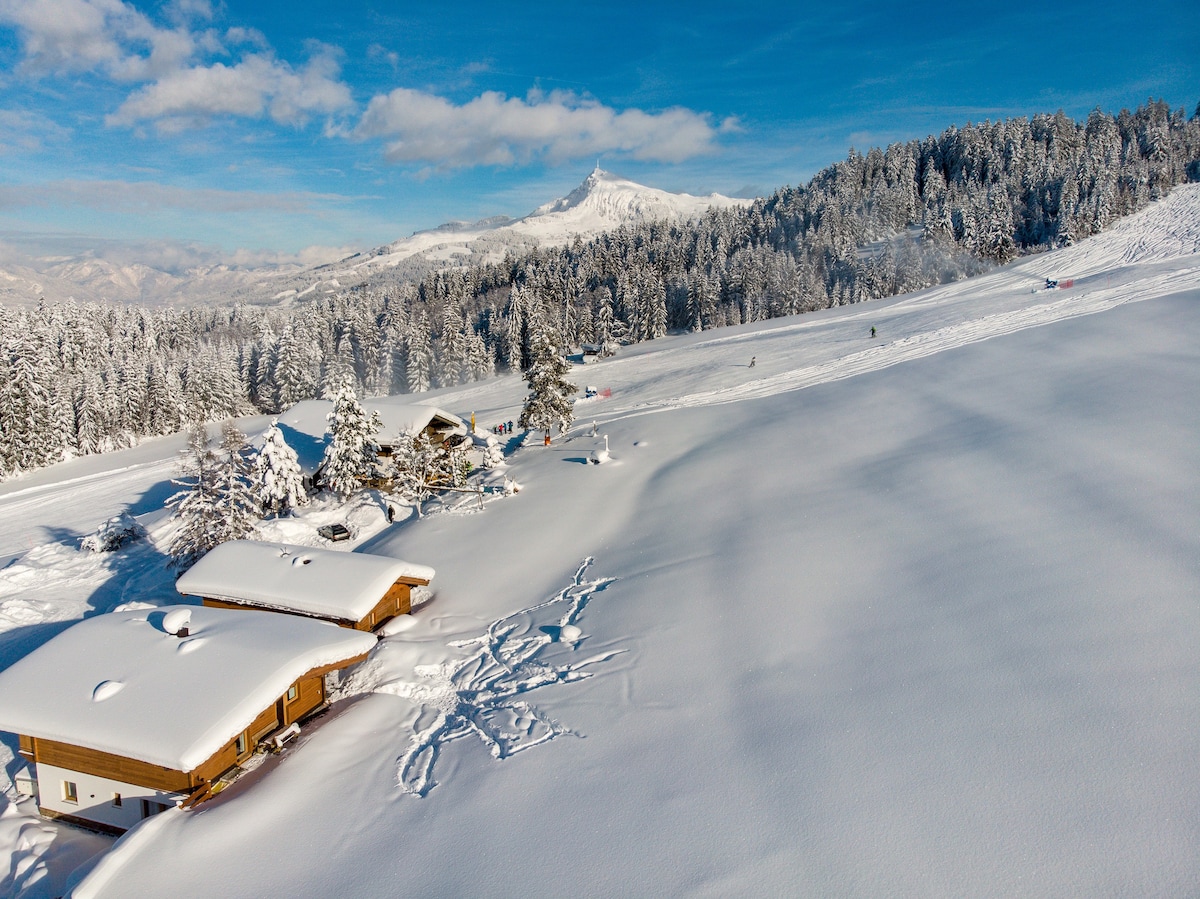 度假木屋储物屋顶滑雪，滑雪出门！
