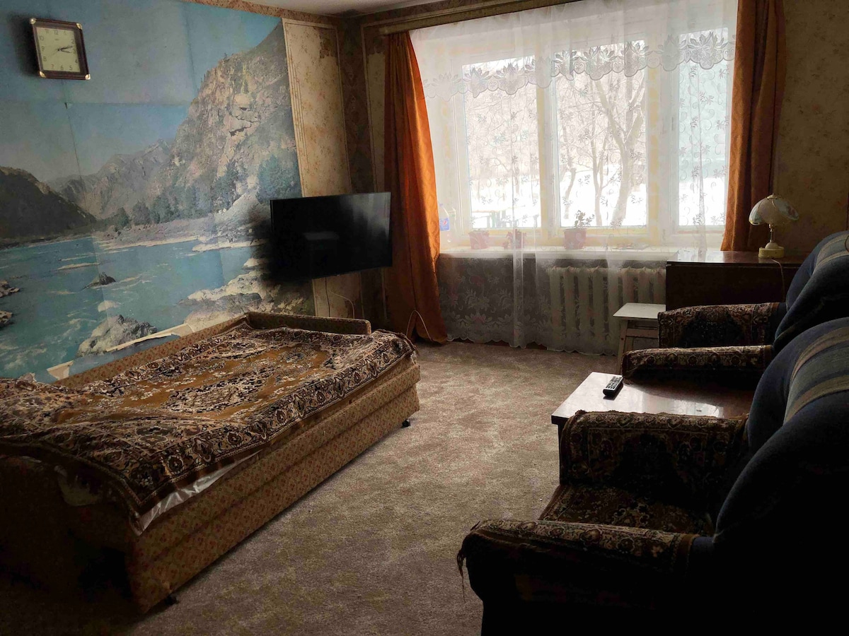 舒适明亮的房间，苏米雷格，罗姆尼，基辅街