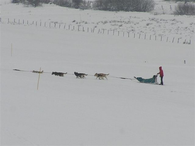 "Les Montagnards"