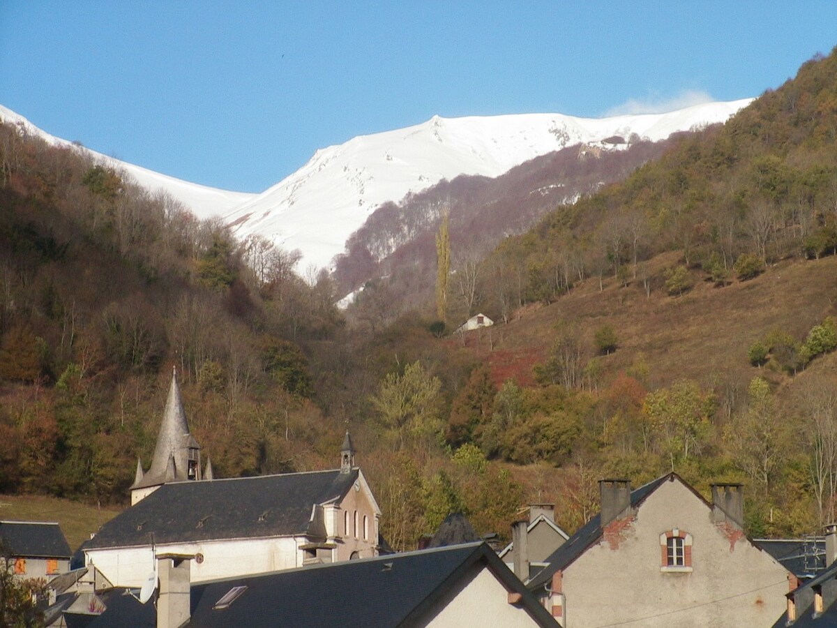 圣拉里（ Saint Lary ）附近的山景房屋，带花园