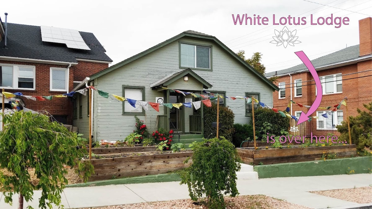 White Lotus Lodge in MidTown