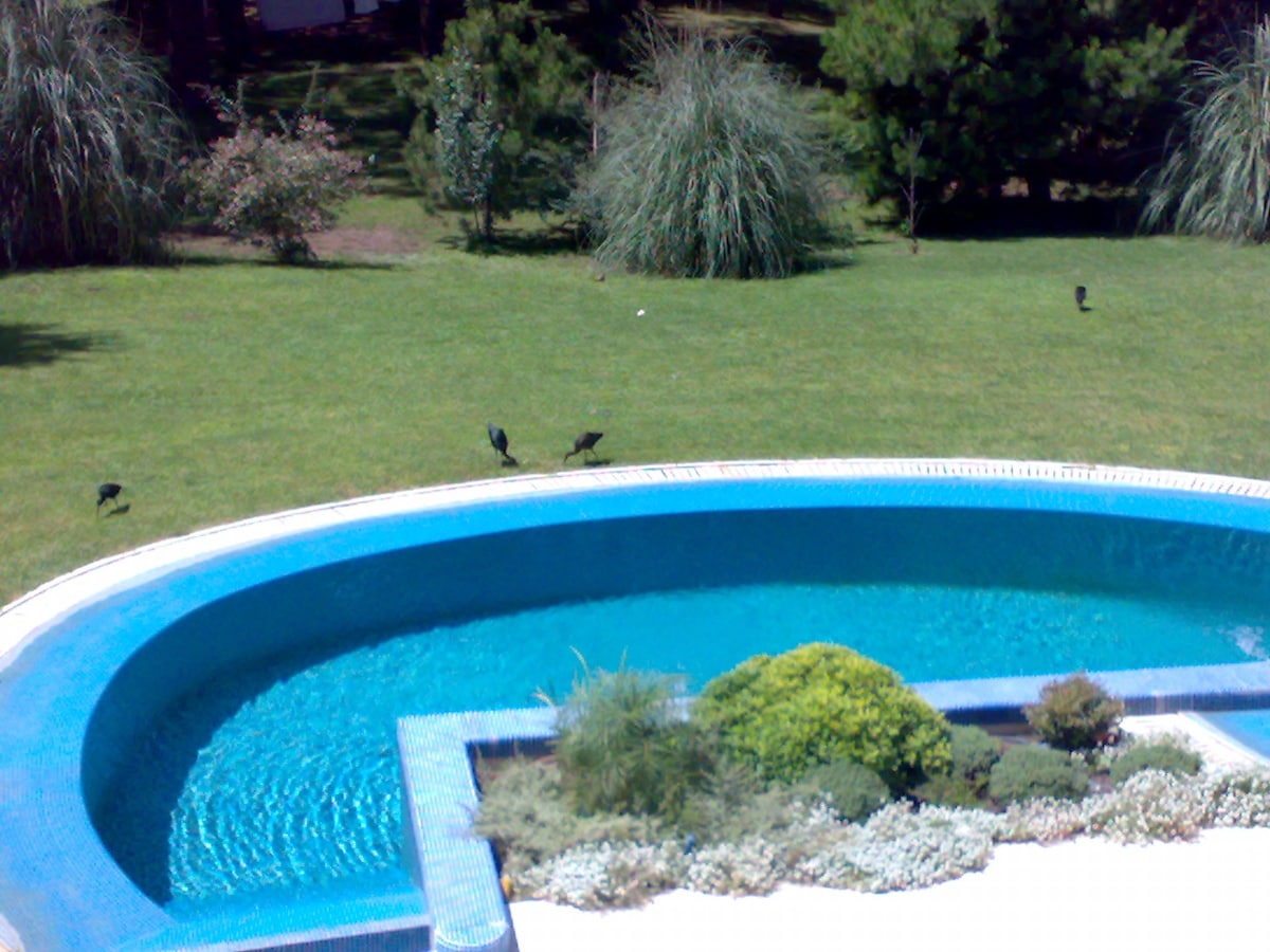 卡里洛（ Cariló ）的房子，上面有公园和温水泳池