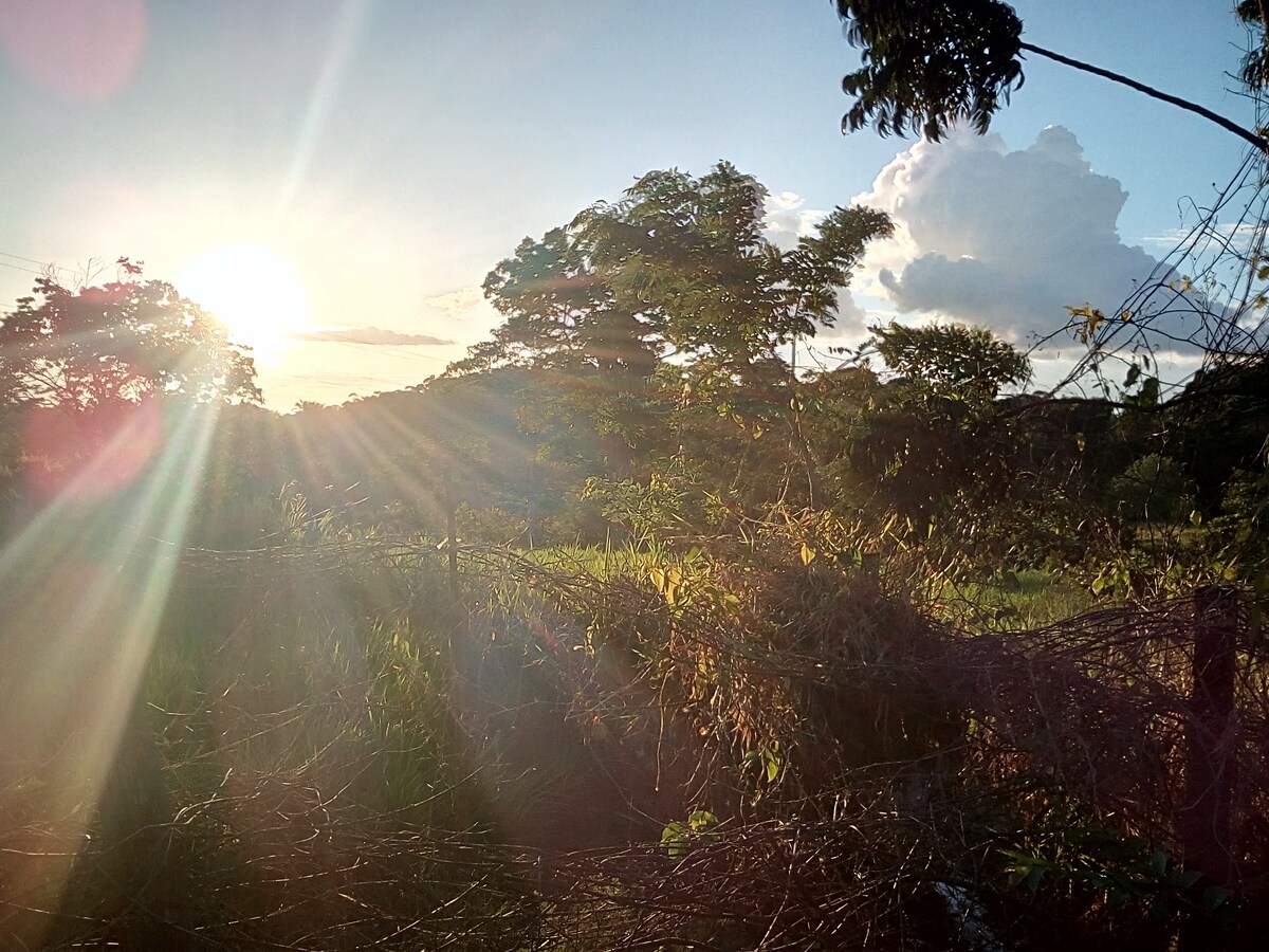 Deja que la magia de la amazonia TOQUE TU ALMA.