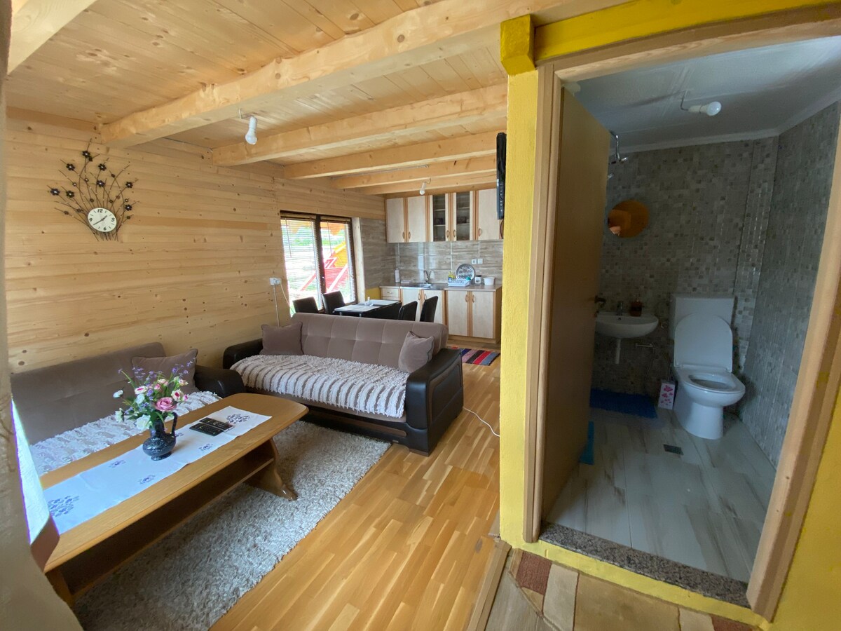 Golden cabin 2/b studio