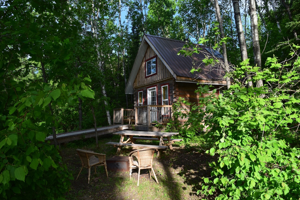 Mullein Cabin w/ Lake Access @Wild Woods Hideaway