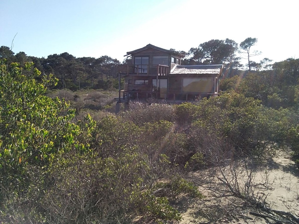 Cabaña, en medio de la naturaleza frente al mar