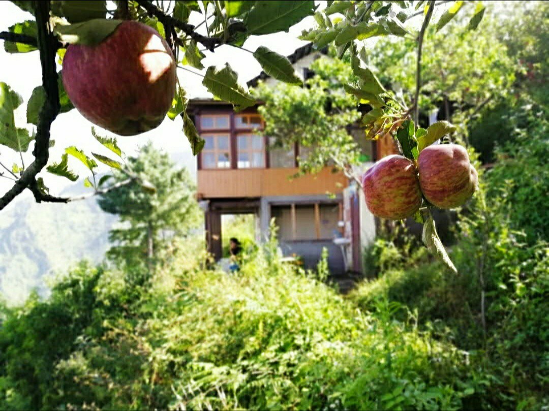 苹果农场住宿，欣赏令人屏息的美景