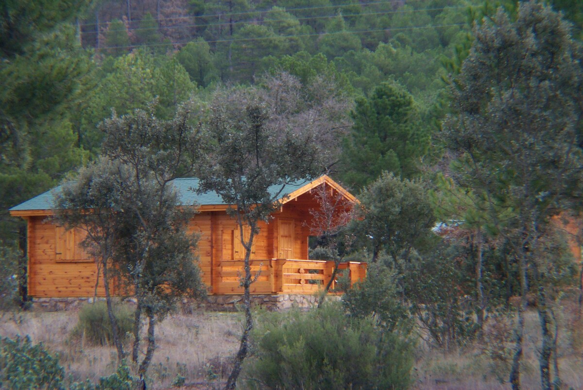 Llano los Rabbits小木屋。小木屋1