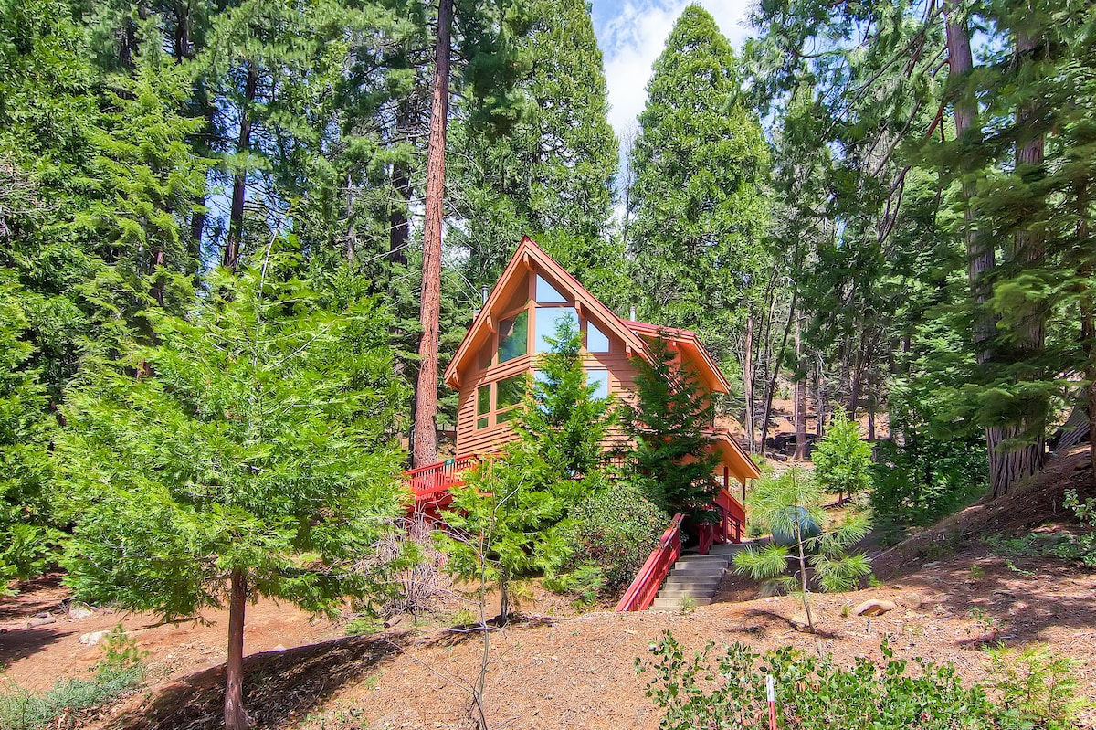 Yosemite 's Red Fox Retreat