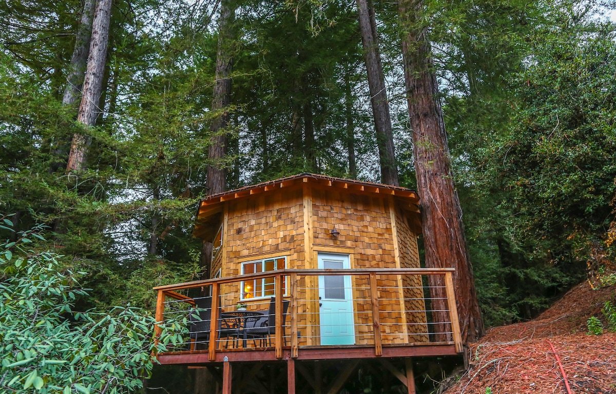 Aptos Mountain度假胜地和水疗中心的红杉树屋