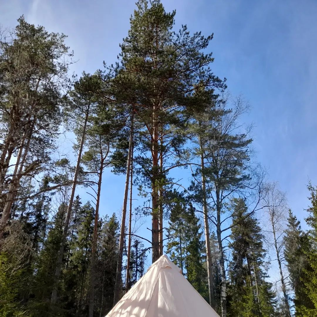 GLAMPING SKOGSHYDDAN
Tiveden, Askersund