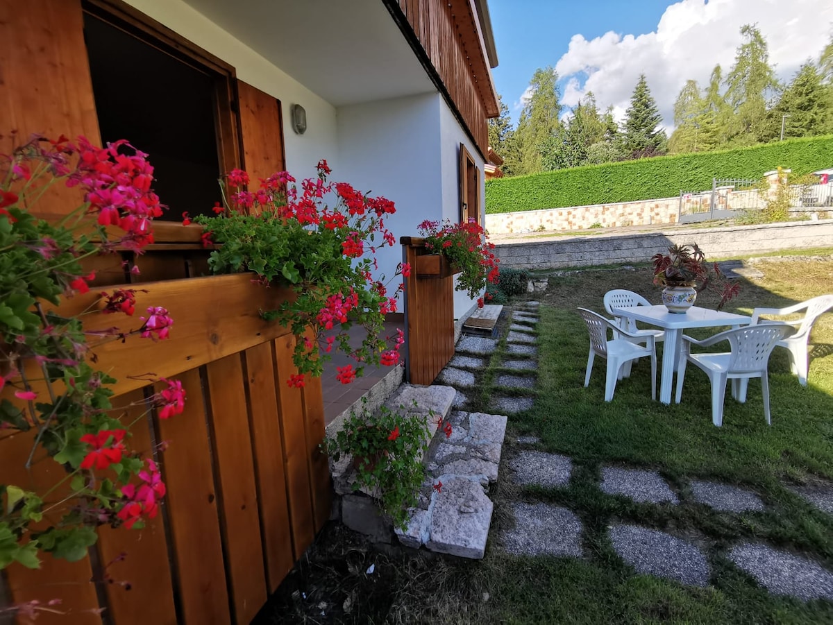 "Ennapane" Val di nonSfruz. CIPAT: 022173AT776994