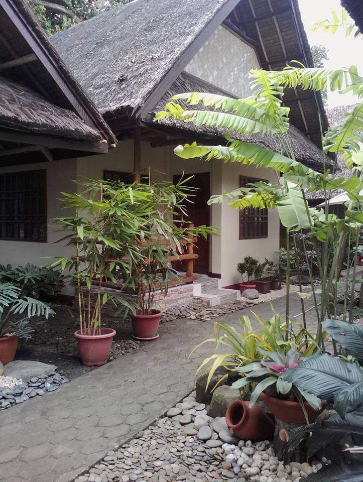 Ayette's Bamboo Cottages