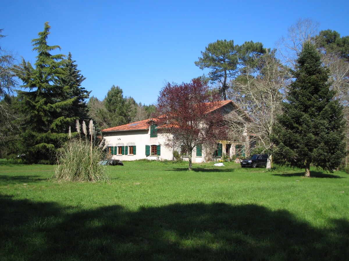 Rare forest house, untouched nature, swimming lake