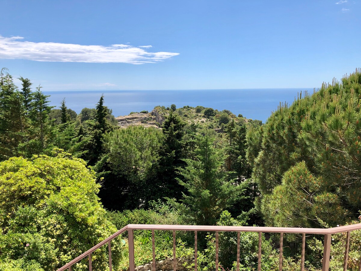 Panoramic Sea View AirC Villa w. Monaco附近的泳池