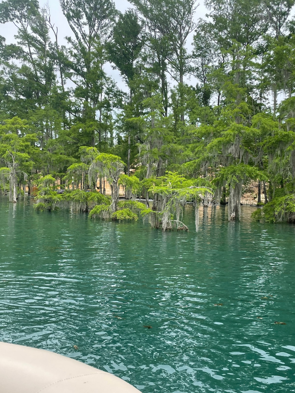 Millstone on the Millpond-6 miles of Springs