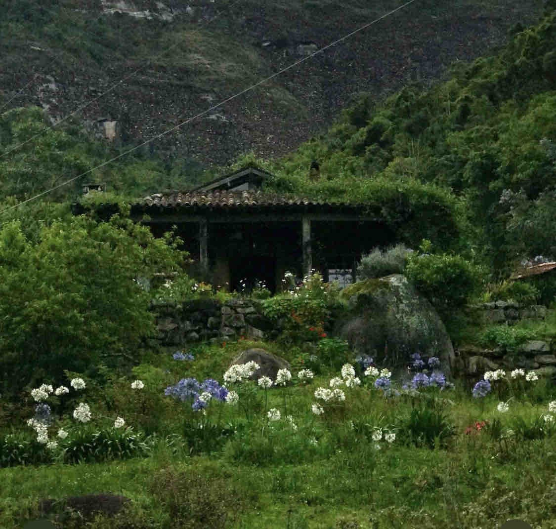 Casa de Campo com belo jardim.