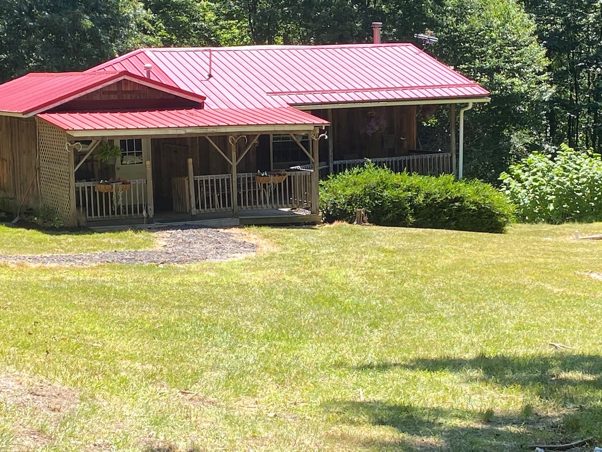 Peaceful cottage nestled in woods of the Pa Wilds