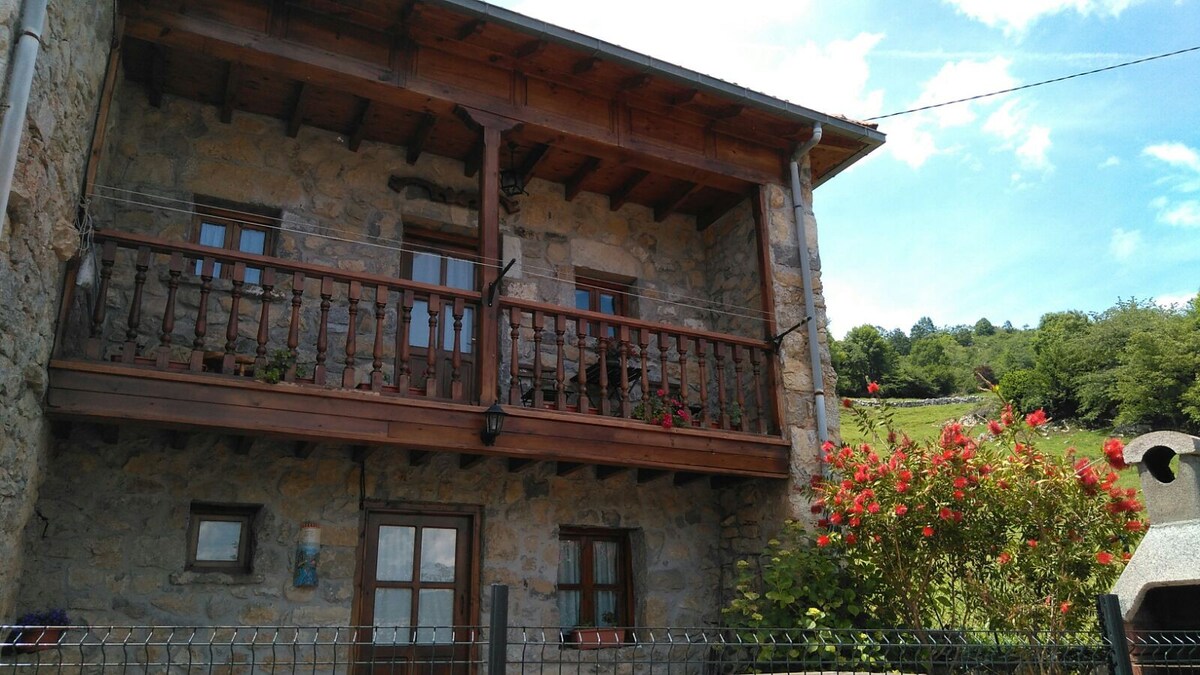 Cangas de Onis附近的Casa Rural En Picos de Europa