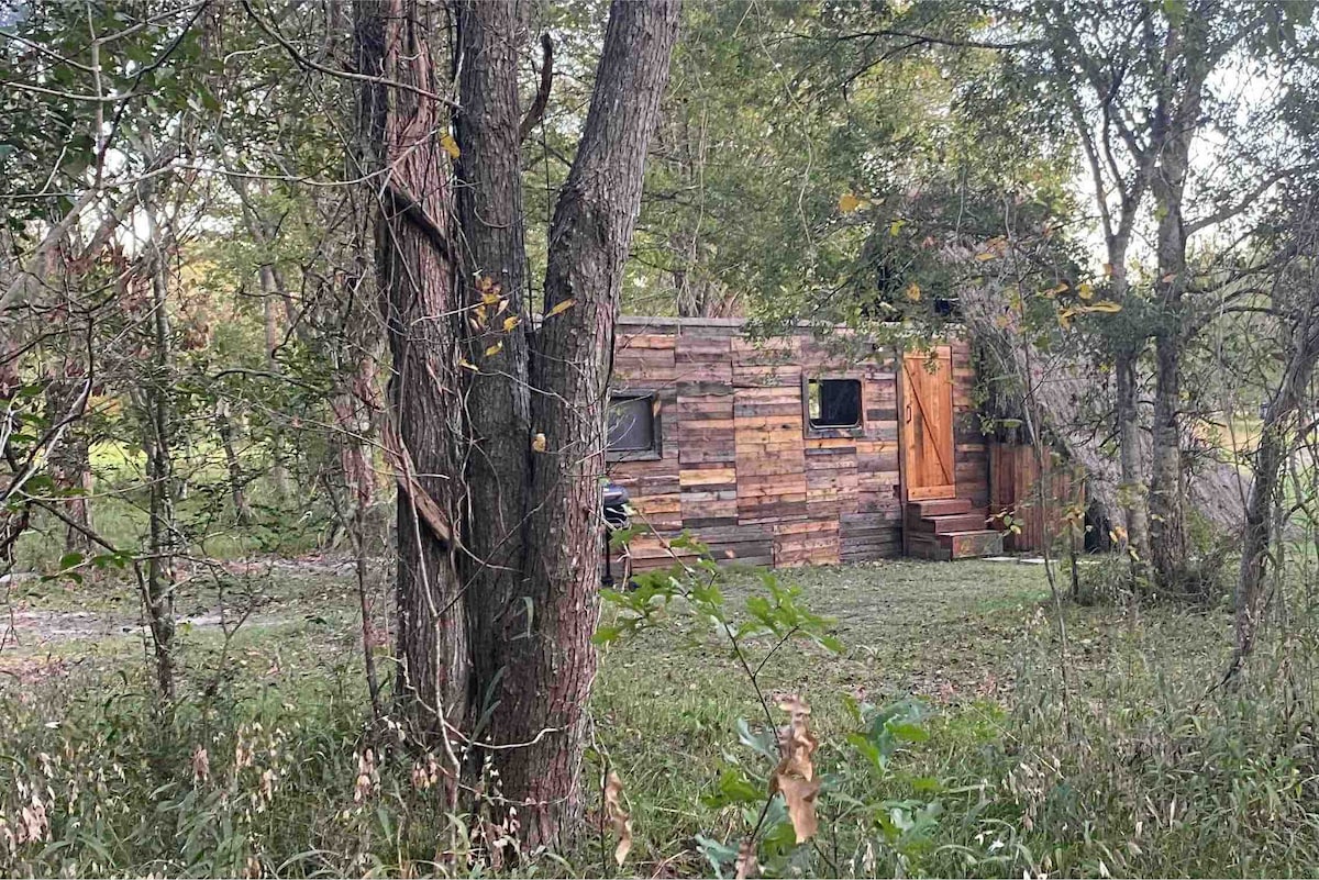 Cabin 1 - Remote cabin next to Sam Houston Park