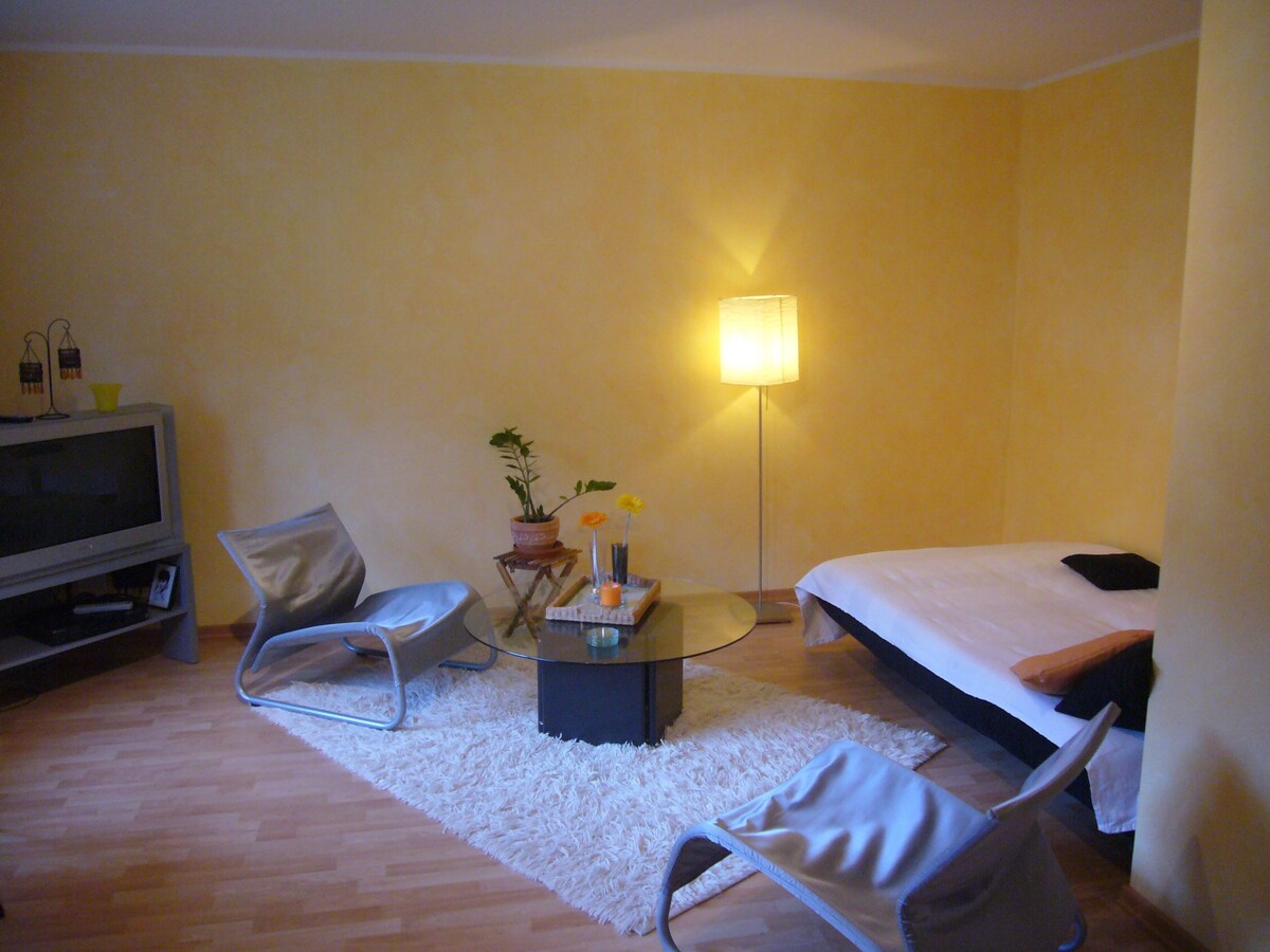 Siegen-Netphen装修舒适公寓， 60平方米
