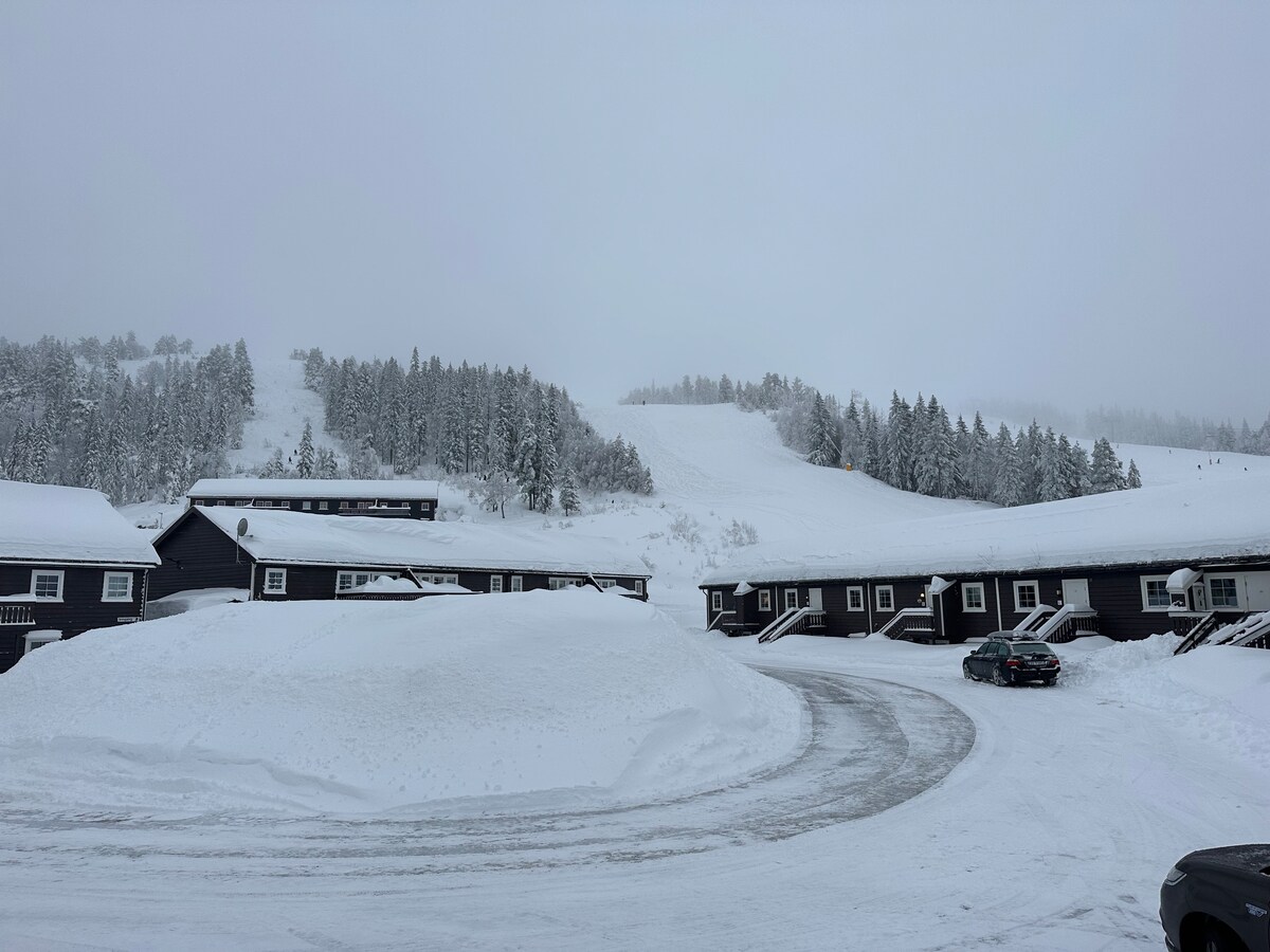 Gautefall高山滑雪度假村旁边的公寓