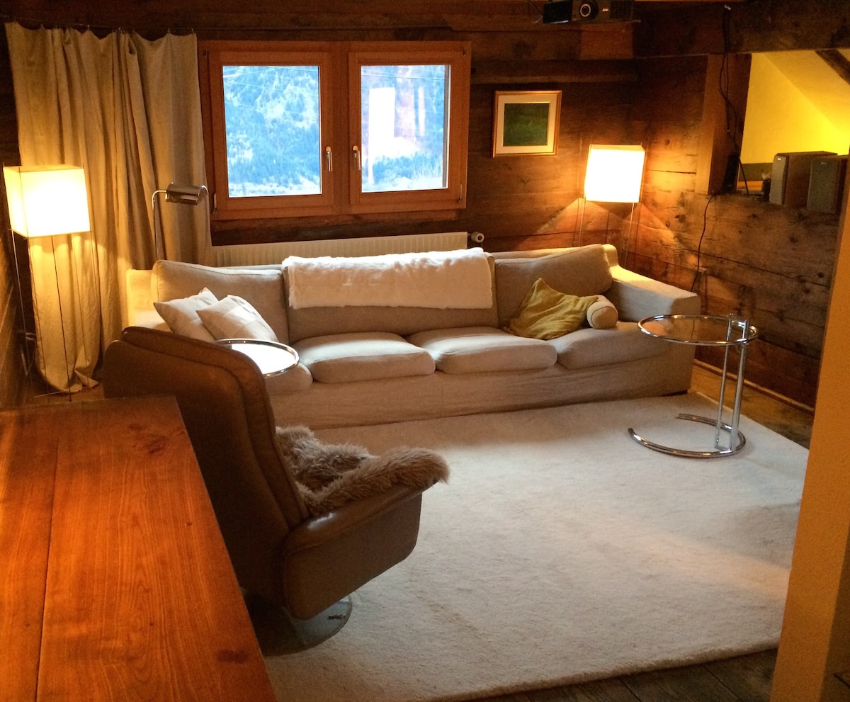 瑞士阿尔卑斯山的舒适公寓