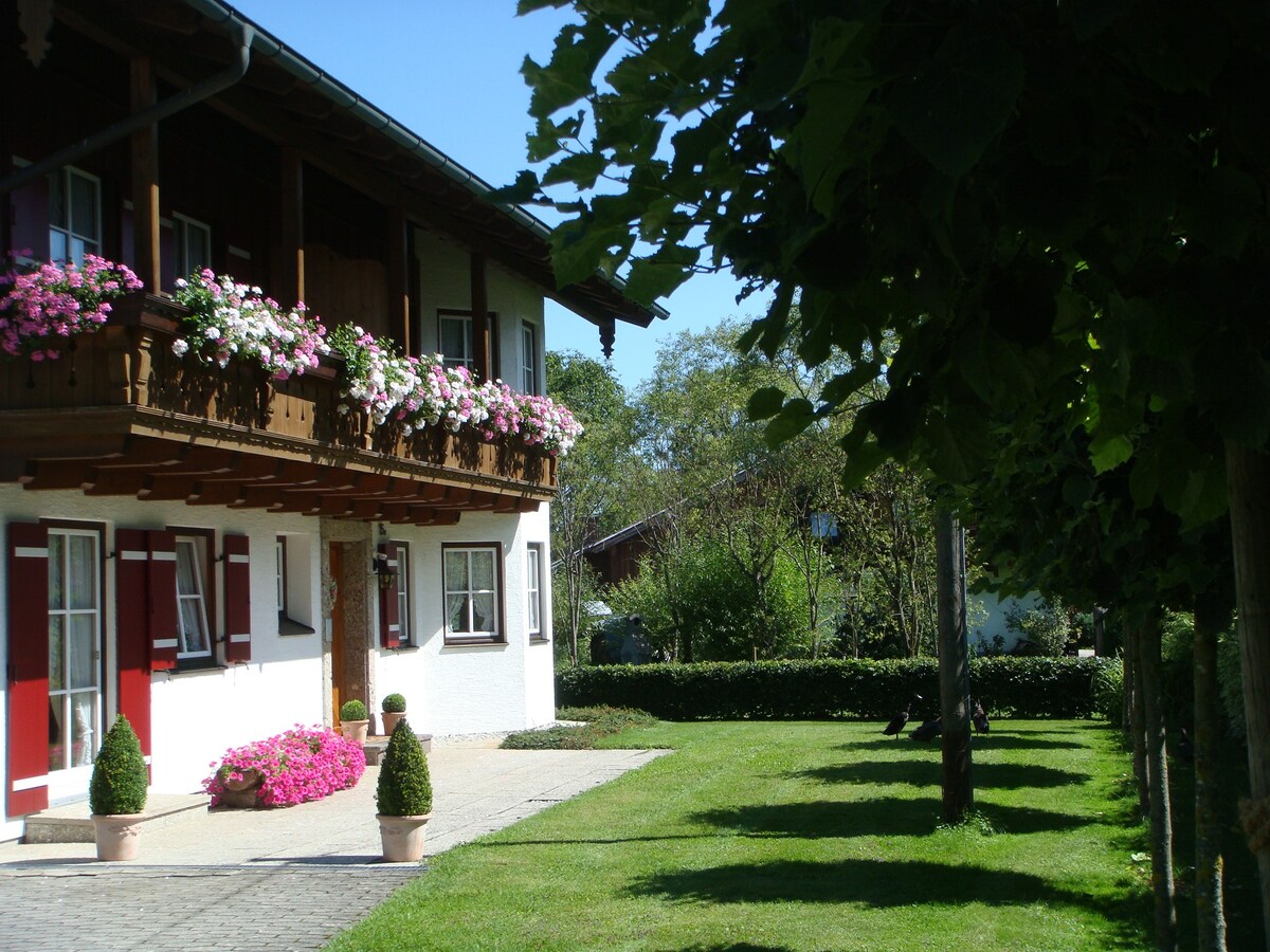 Vacation apartment with beautiful mountain view