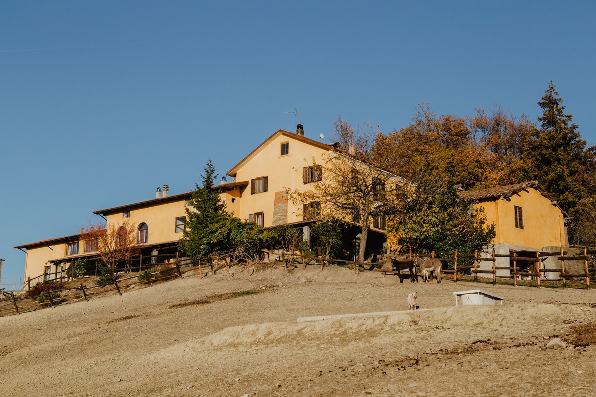 Agriturismo Le Piagge, Camera Doppia