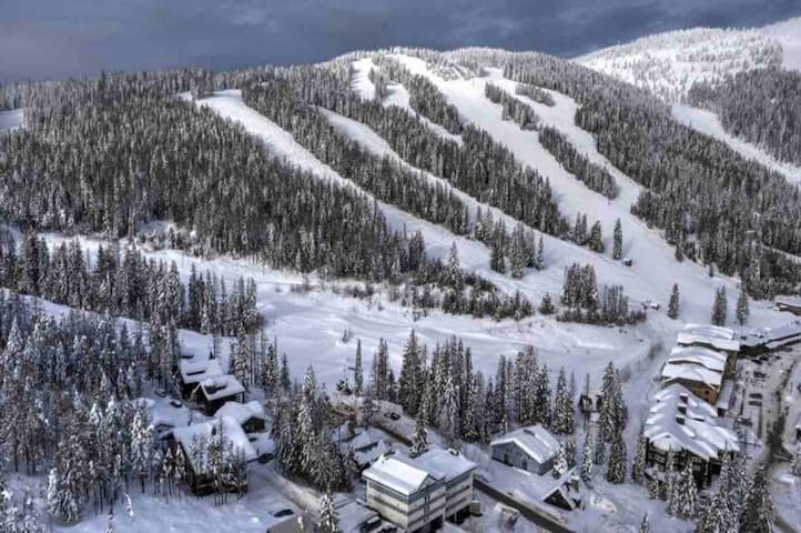 Whitefish Mountain Resort 的民宿