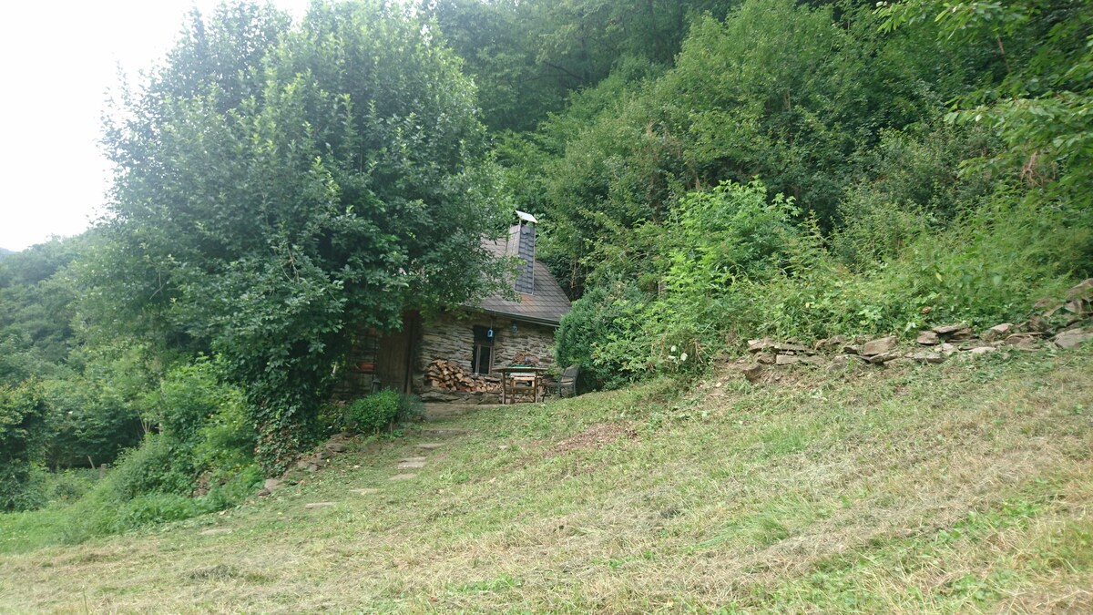 *纯净大自然*
乡村住宅内的森林小屋