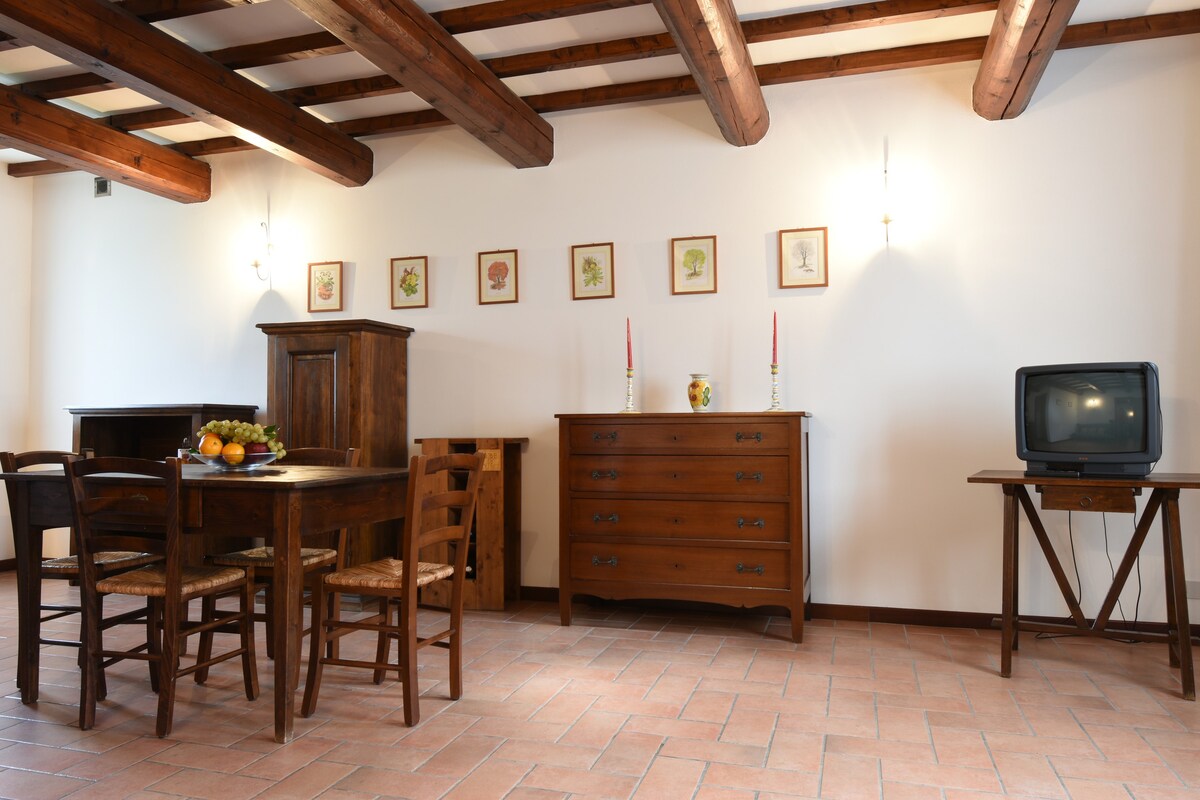Perugia和Assisi之间的大型双卧室公寓（黄色）
