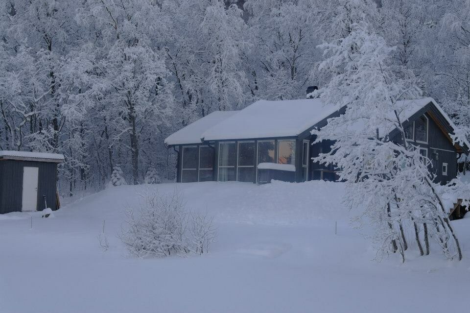 现代舒适小木屋-北极光的好去处！
