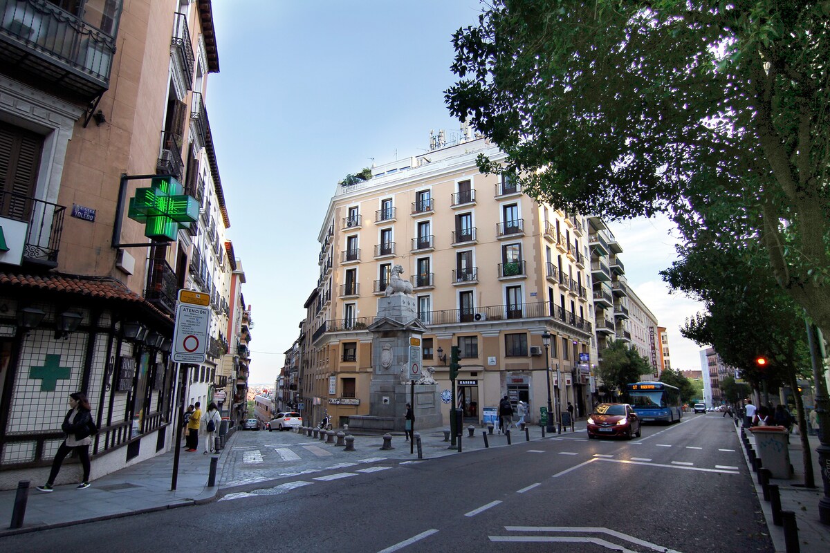 马德里，拉丁式公寓， 3间卧室， 1间卧室， 80平方米， 6人住