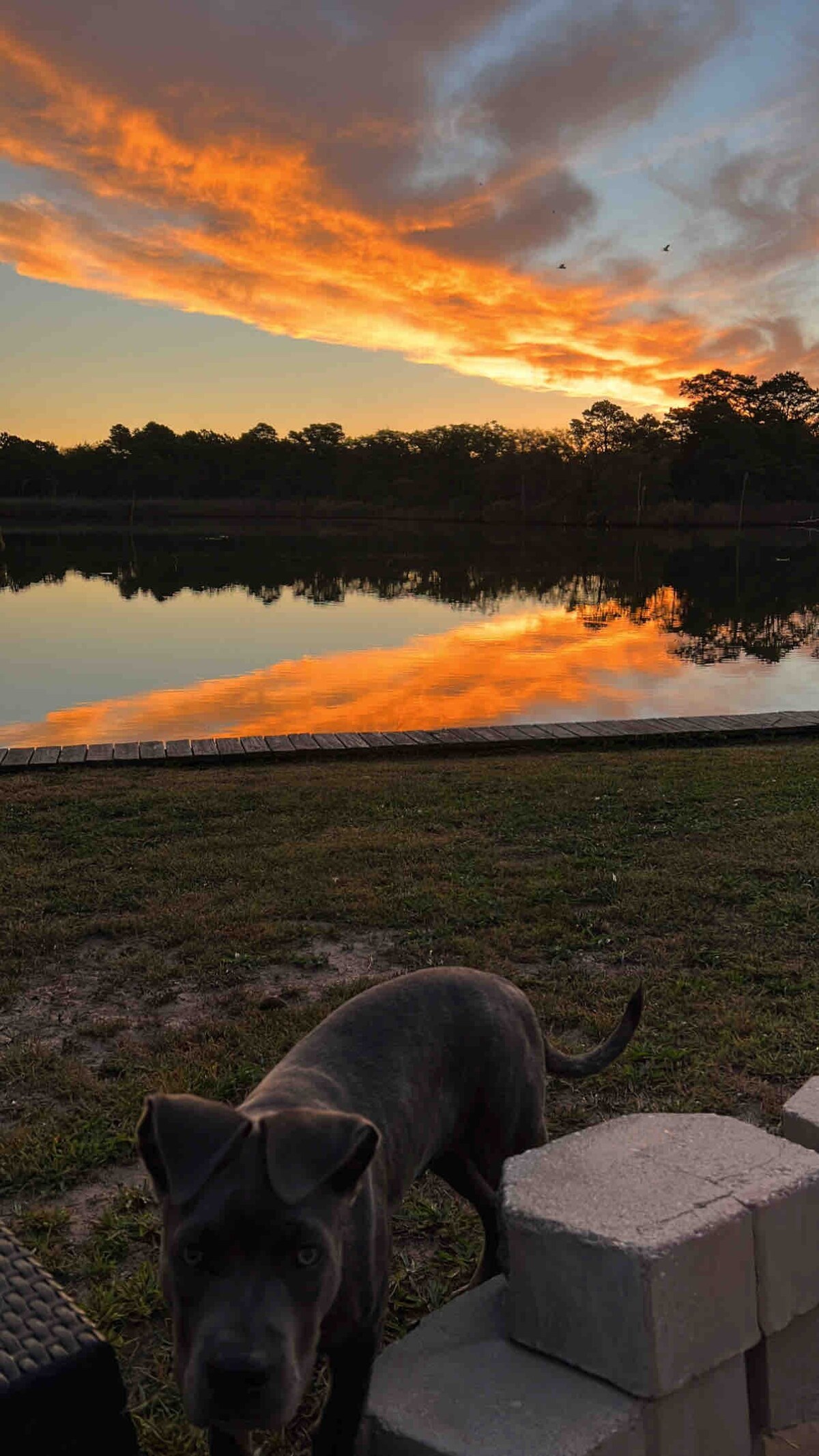 Rest and Relax on the Creek