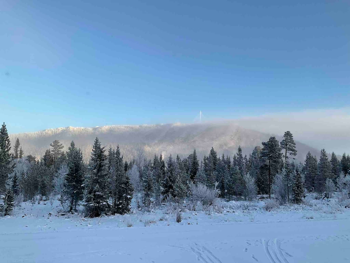 Newly built 4-br chalet in Funäsdalen