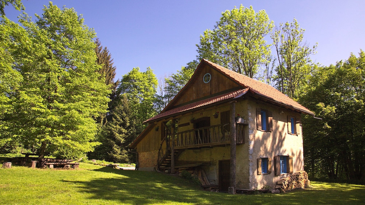 Kočevje附近森林中的可爱和艺术小屋