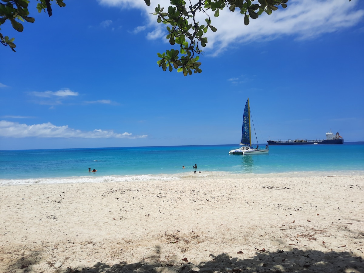 多佛海滩（ Dover Beach ）