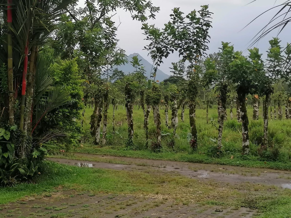 拉福图纳（ La Fortuna ）附近的乡村公寓