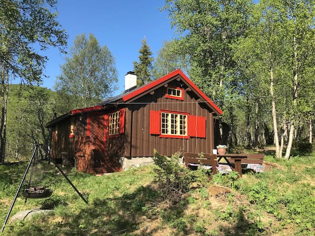 Ål kommune的民宿